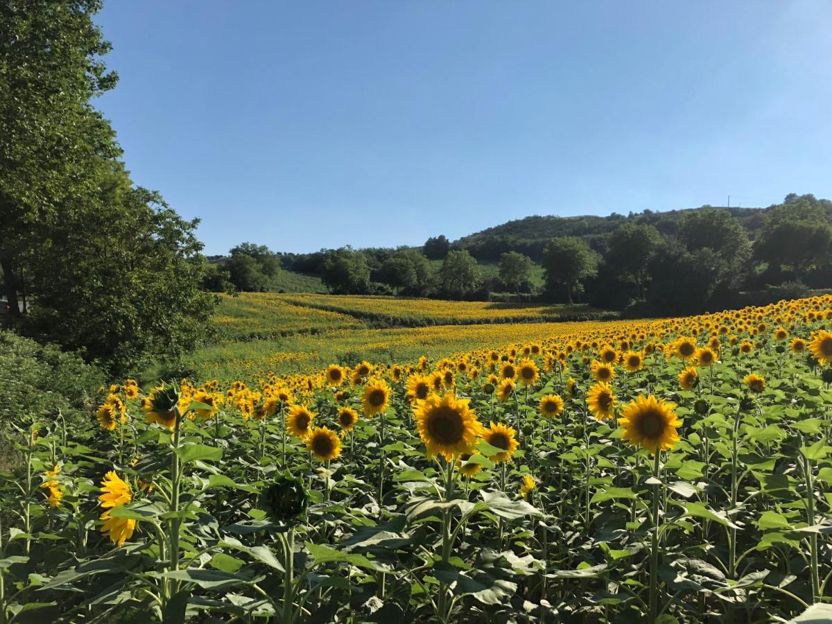Bed and Breakfast Le Grenier Occitan Gramazie Exterior foto