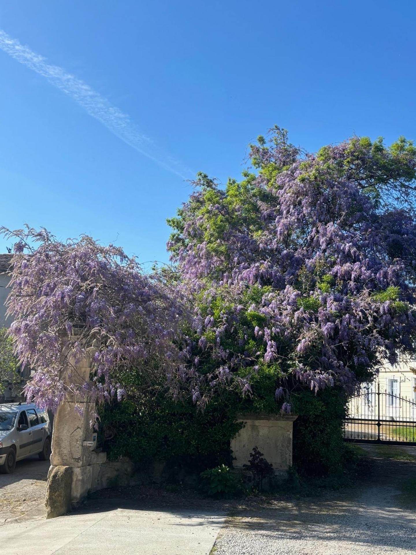 Bed and Breakfast Le Grenier Occitan Gramazie Exterior foto